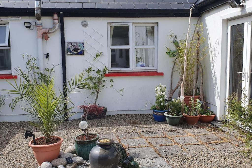 Cosy Self Contained Cottage With Stunning Views Killaloe Esterno foto